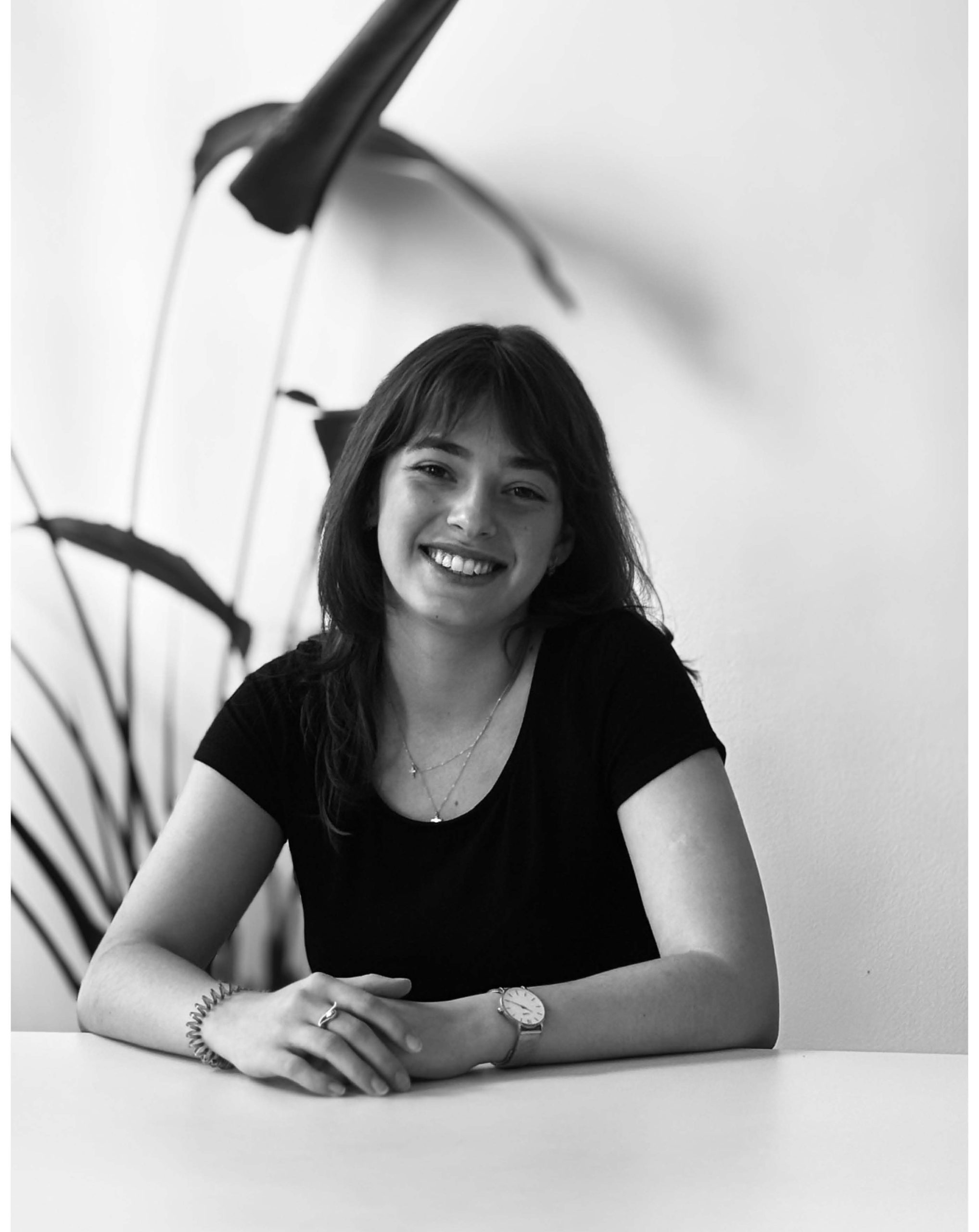 gerner gerner plus - Armina Taulea